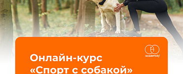 Онлайн-курс «Спорт с собакой»