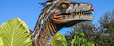 Главные заблуждения о динозаврах