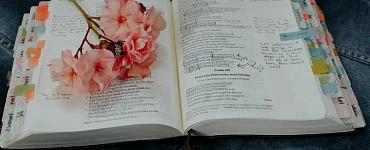 Учитель биологии (540 ч.)