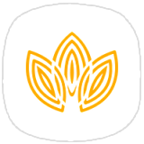 Школа психологии и психосоматики Telogid