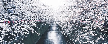 Япония: главное