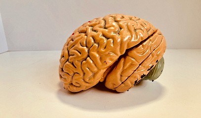 Вебинар «Погружение в профессию парафармацевт»