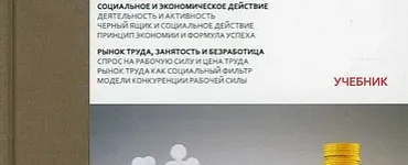Экономическая социология. Учебник