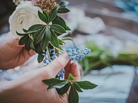 Профессия флорист: все, что вы хотели знать, но стеснялись спросить
