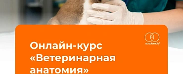 Патологическая ветеринарная анатомия и ветеринарная экспертиза