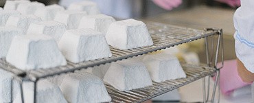 Большой кисломолочный курс