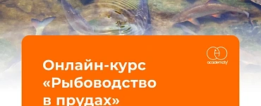 Рыбоводство в прудах