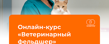 Ветеринарный фельдшер