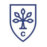 Логотип City Business School
