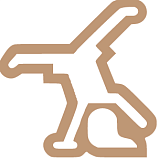 Проект «Биомеханика.Дети»