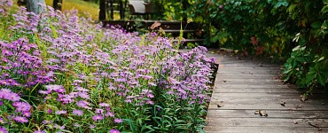 Дизайн ландшафтного проектирования