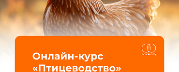 Птицеводство
