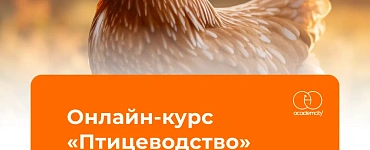 Птицеводство