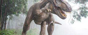 Как и почему  исчезли динозавры?