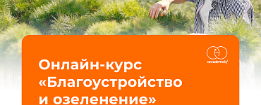 Благоустройство и озеленение