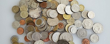 Богатый мозг