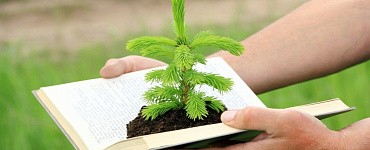 Лесное дело-профессиональная переподготовка ( 256 часов)