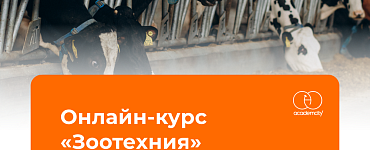 Зоотехния