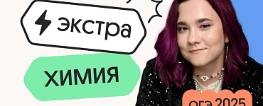Химия. Экстра Плюс. Подготовка к ОГЭ 2025 с нуля на отлично