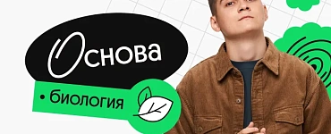 Биология. Основа. Октябрьский поток подготовки к ЕГЭ