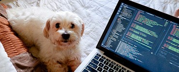 JavaScript для детей