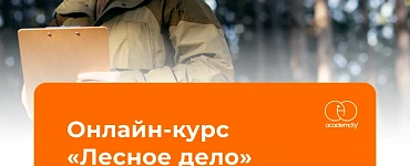 Лесное дело