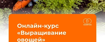 Выращивание овощей