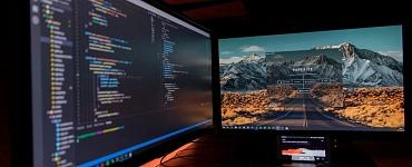 Unreal Engine Game Developer. Professional
