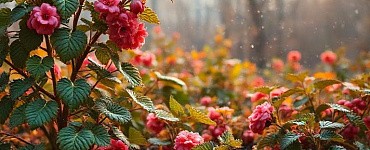 Биологическая защита