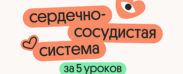 Сердечно-сосудистая система за 5 уроков