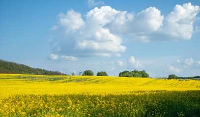Вебинар «Сила в тебе: Как прийти к себе настоящей, понять свои истинные желания и стать счастливой женщиной»