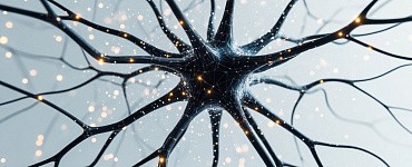 Как нутрициологу превратить ИИ в личного помощника и маркетолога?