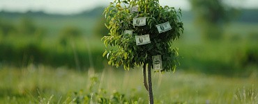 Как купить землю у государства со скидкой до 97%