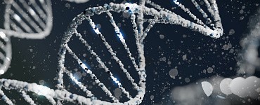 Генетика: что нужно знать