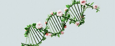 Курс «Биотехнология продуктов питания»