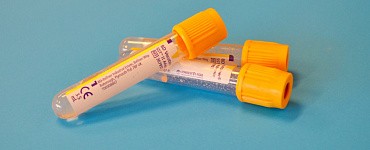 Практикум «Как разобраться в анализах: дефицит или норма»