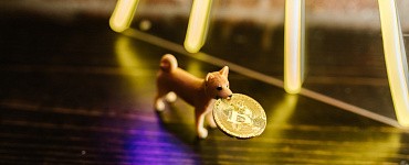 Курс «Метавселенные»