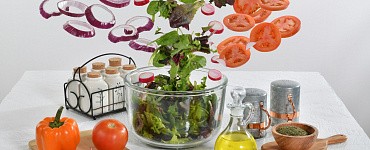 Профессиональная переподготовка «Инженер пищевой промышленности»