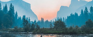 Курс «Менеджмент в сфере сервиса, туризма»