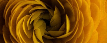 Курс «Учитель ИЗО. Педагогическая деятельность по проектированию и реализации образовательного процесса» с присвоением квалификации "Учитель изобразительного искусства" (260 ч.)»