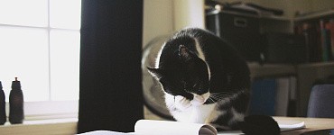 Курс «Нейросети для бухгалтера»