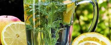 Программа «Превентивное управление здоровьем: БАДы, фитотерапия, генетика»