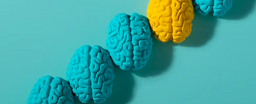 Курс «Введение в нейропсихологию и когнитивные технологии»