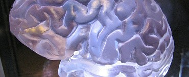 Курс «Нейропсихологические основы эффективного обучения: теория и практика»