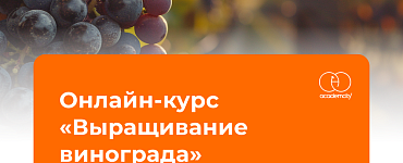 Онлайн-курс «Выращивание винограда»