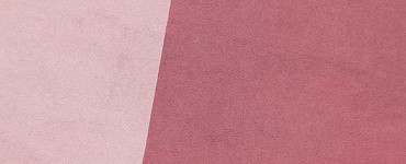 Курс «Основы социологии и политологии»