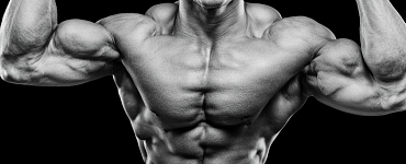 Профессия «Инструктор по силовому фитнесу»