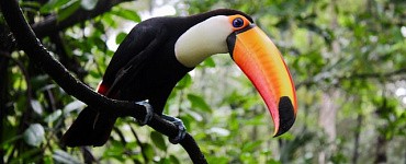 Курс «Дизайн вышитых украшений. Продвинутый уровень»