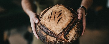 Курс «Современный пекарь»