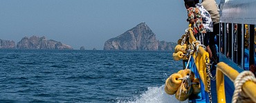 Курс «Технологии и организация развлечений»